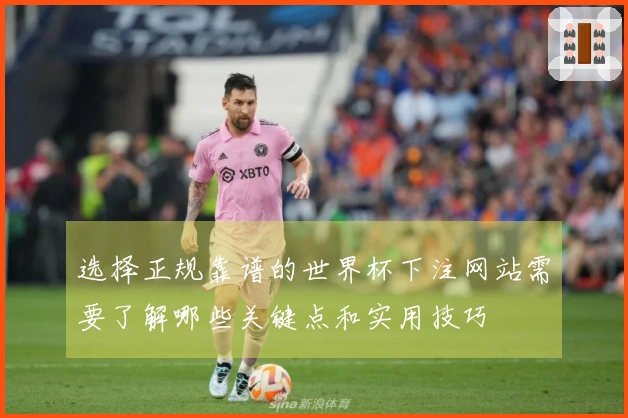 选择正规靠谱的世界杯下注网站需要了解哪些关键点和实用技巧