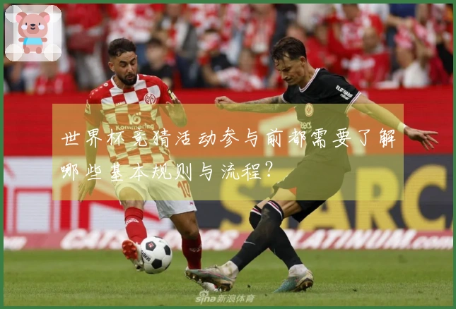世界杯竞猜活动参与前都需要了解哪些基本规则与流程？