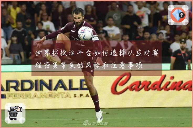 世界杯投注平台如何选择以应对赛程密集带来的风险和注意事项