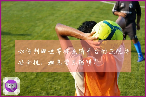 如何判断世界杯竞猜平台的正规与安全性，避免常见陷阱？