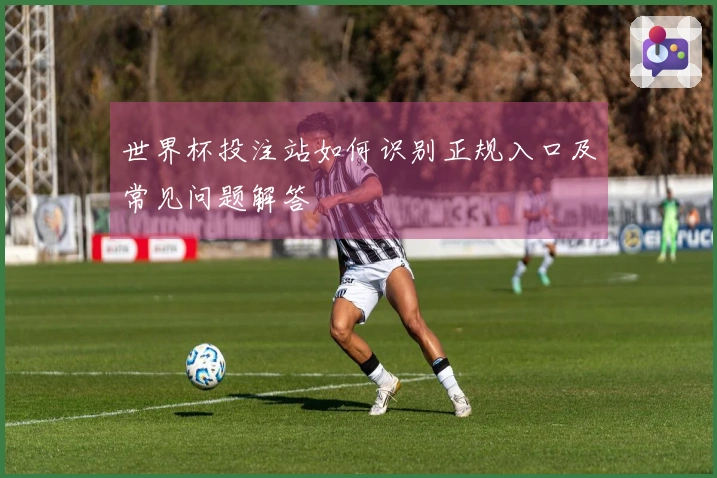 世界杯投注站如何识别正规入口及常见问题解答