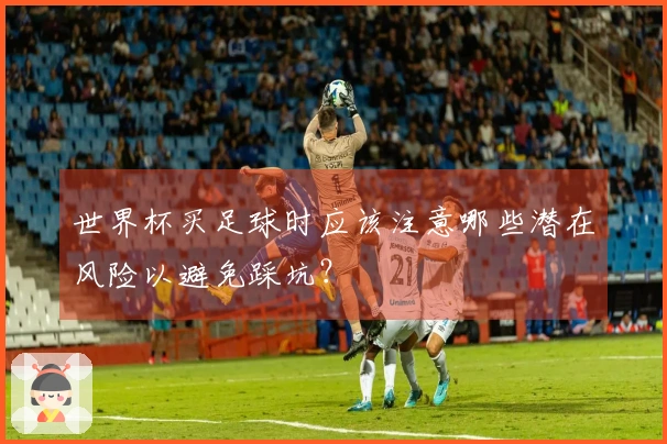 世界杯买足球时应该注意哪些潜在风险以避免踩坑？