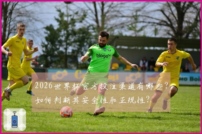 2026世界杯官方投注渠道有哪些？如何判断其安全性和正规性？