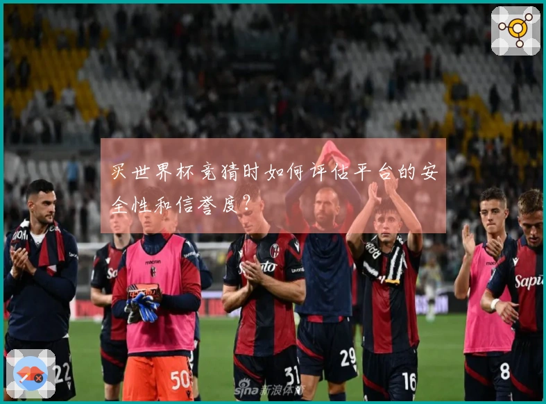买世界杯竞猜时如何评估平台的安全性和信誉度？