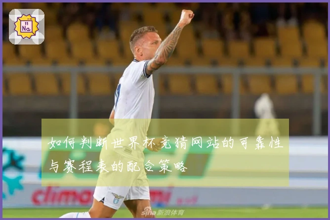如何判断世界杯竞猜网站的可靠性与赛程表的配合策略