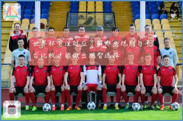 世界杯下注时应了解哪些规则与平台比较才能做出明智选择