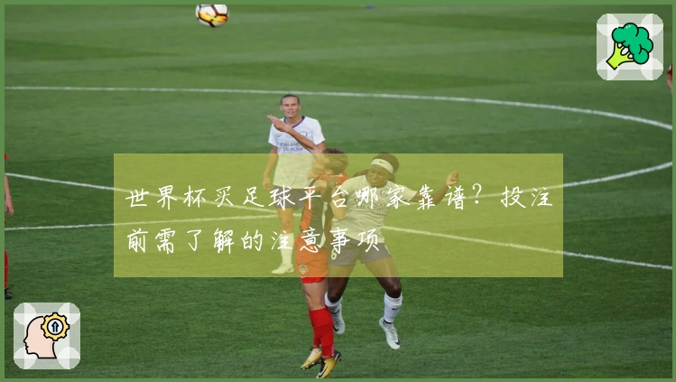世界杯买足球平台哪家靠谱？投注前需了解的注意事项