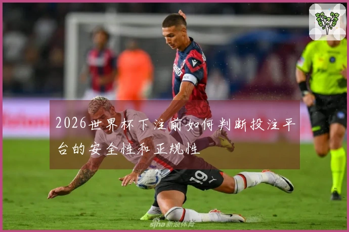 2026世界杯下注前如何判断投注平台的安全性和正规性