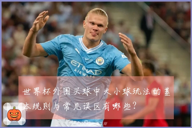 世界杯外围买球中大小球玩法的基本规则与常见误区有哪些？