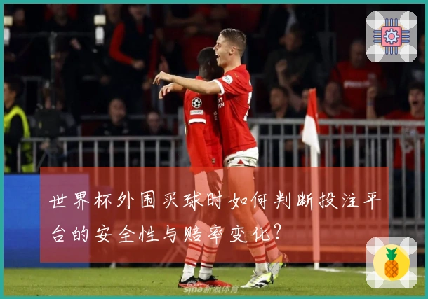世界杯外围买球时如何判断投注平台的安全性与赔率变化？