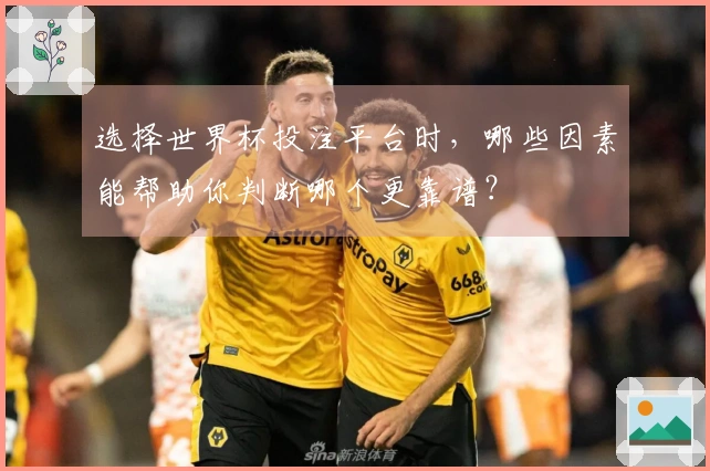 选择世界杯投注平台时，哪些因素能帮助你判断哪个更靠谱？