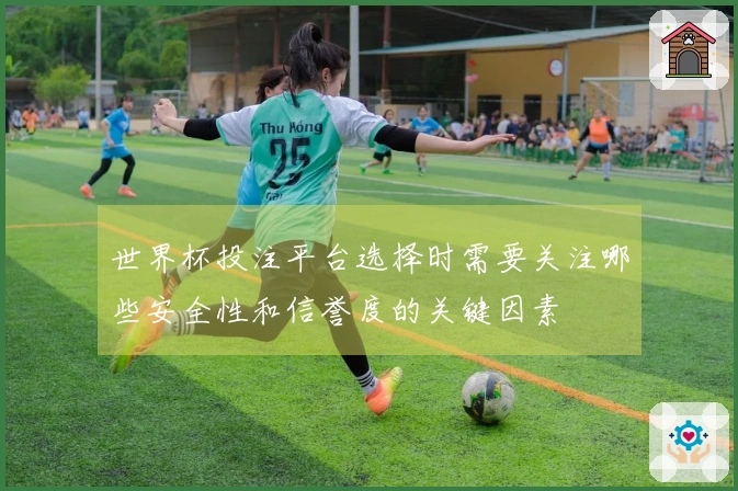 世界杯投注平台选择时需要关注哪些安全性和信誉度的关键因素