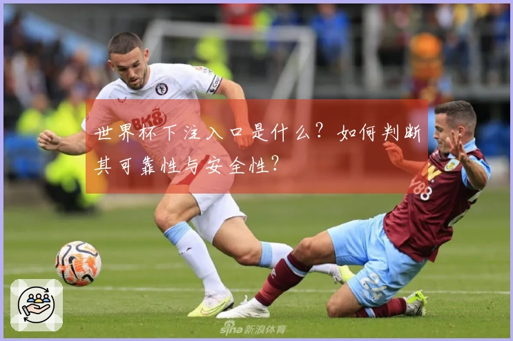 世界杯下注入口是什么？如何判断其可靠性与安全性？