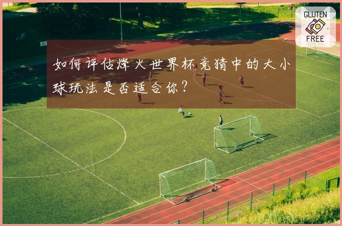 如何评估烽火世界杯竞猜中的大小球玩法是否适合你？